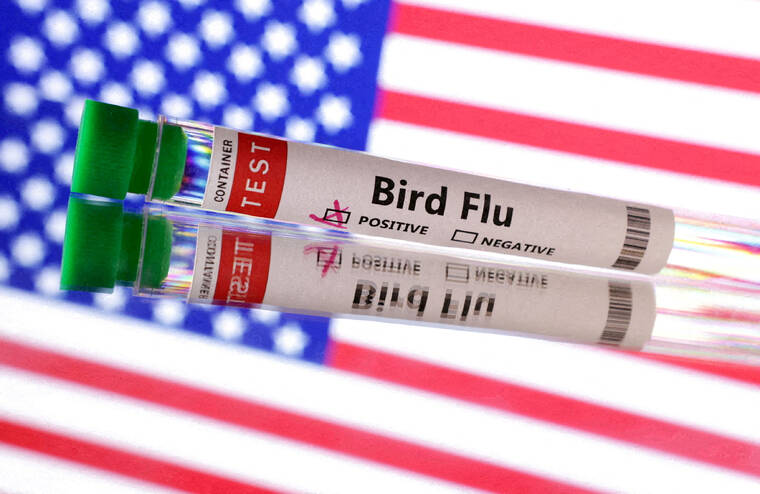 REUTERS/DADO RUVIC/ILLUSTRATION
Fest tube is seen labeled Bird Flu in front of U.S. flag in this illustration taken.
